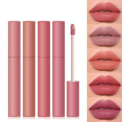 12 Colors Velvet Matte Lipstick Cosmetics Waterproof Long Lasting Lip Stick Non Sticky Lip Gloss Lip Tint Makeup