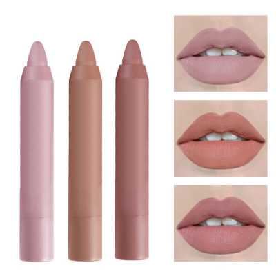 3 Pcs Set Lipstick Multi colors Long lasting Waterproof Sexy Velvet Matte Lipstick Pencil Lips Makeup Cosmetics