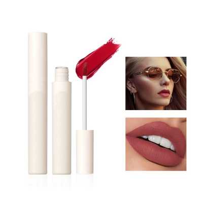 Matte Liquid Lipstick Lips Cosmetics Foggy Velvet Lip Gloss Waterproof Lip Tint 12 Colors Sexy Light Mist Lipglos